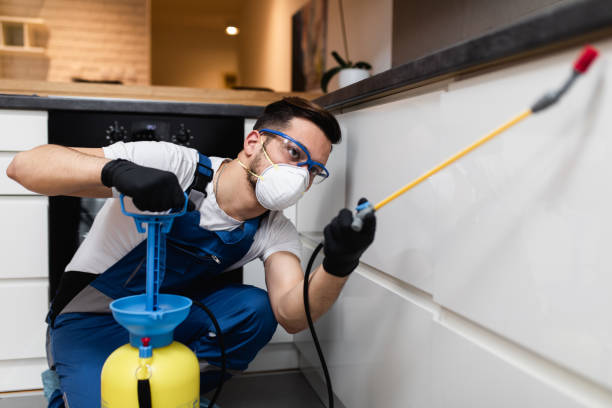 Professional Pest Control in Pearl River, NY