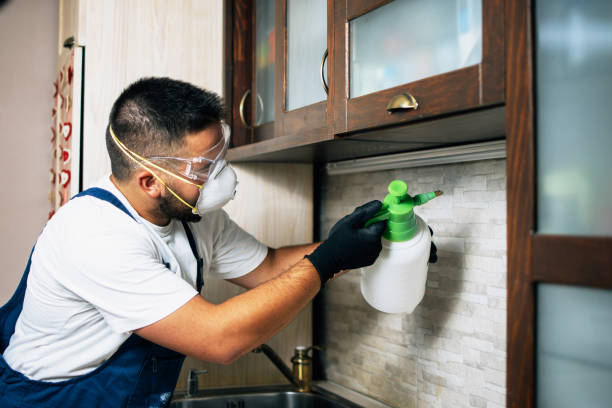 Best Mosquito Control Services  in Pearl River, NY