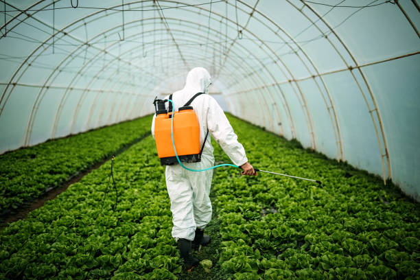 Pest Control Cost in Pearl River, NY