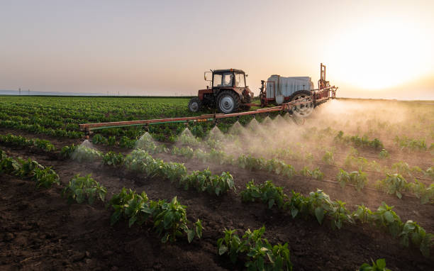 Best Pest Control Cost  in Pearl River, NY