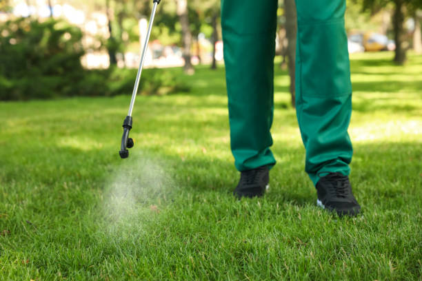 Best Rat Extermination Near Me  in Pearl River, NY