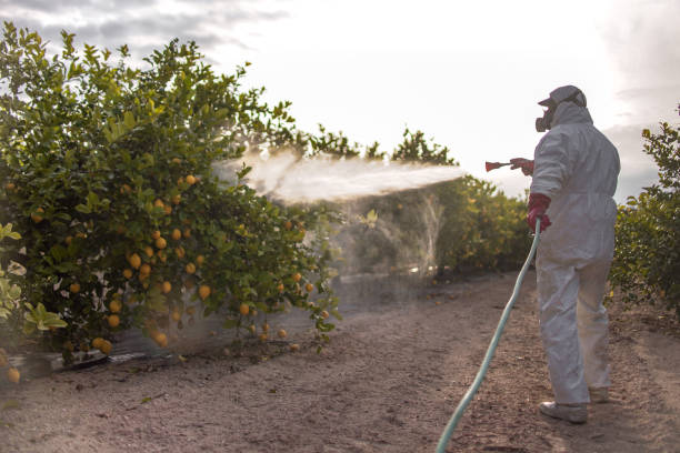 Best Cockroach Control Services  in Pearl River, NY