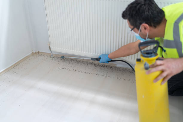 Reliable Pearl River, NY Pest Control Solutions